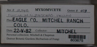 Image Associated With the Occurence
